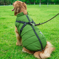 Doggydaart Chest Back Integrated Cotton Vest