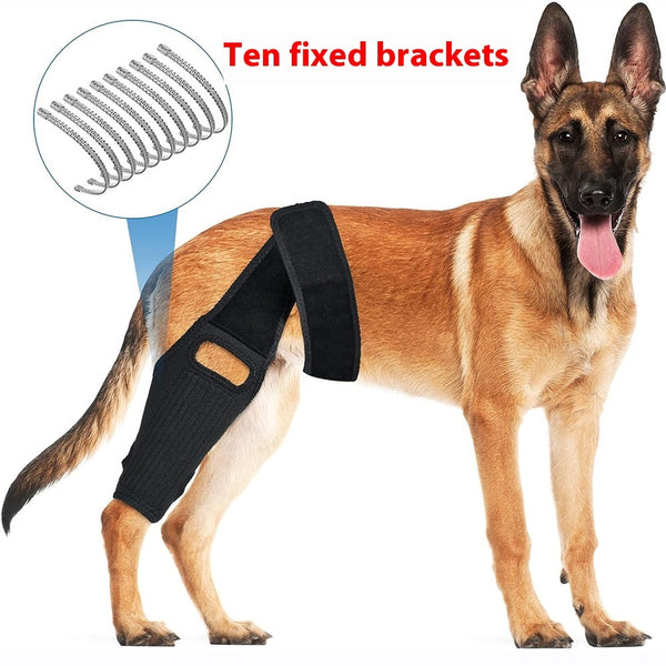 3. Tear Protection Rehabilitation Training Belt