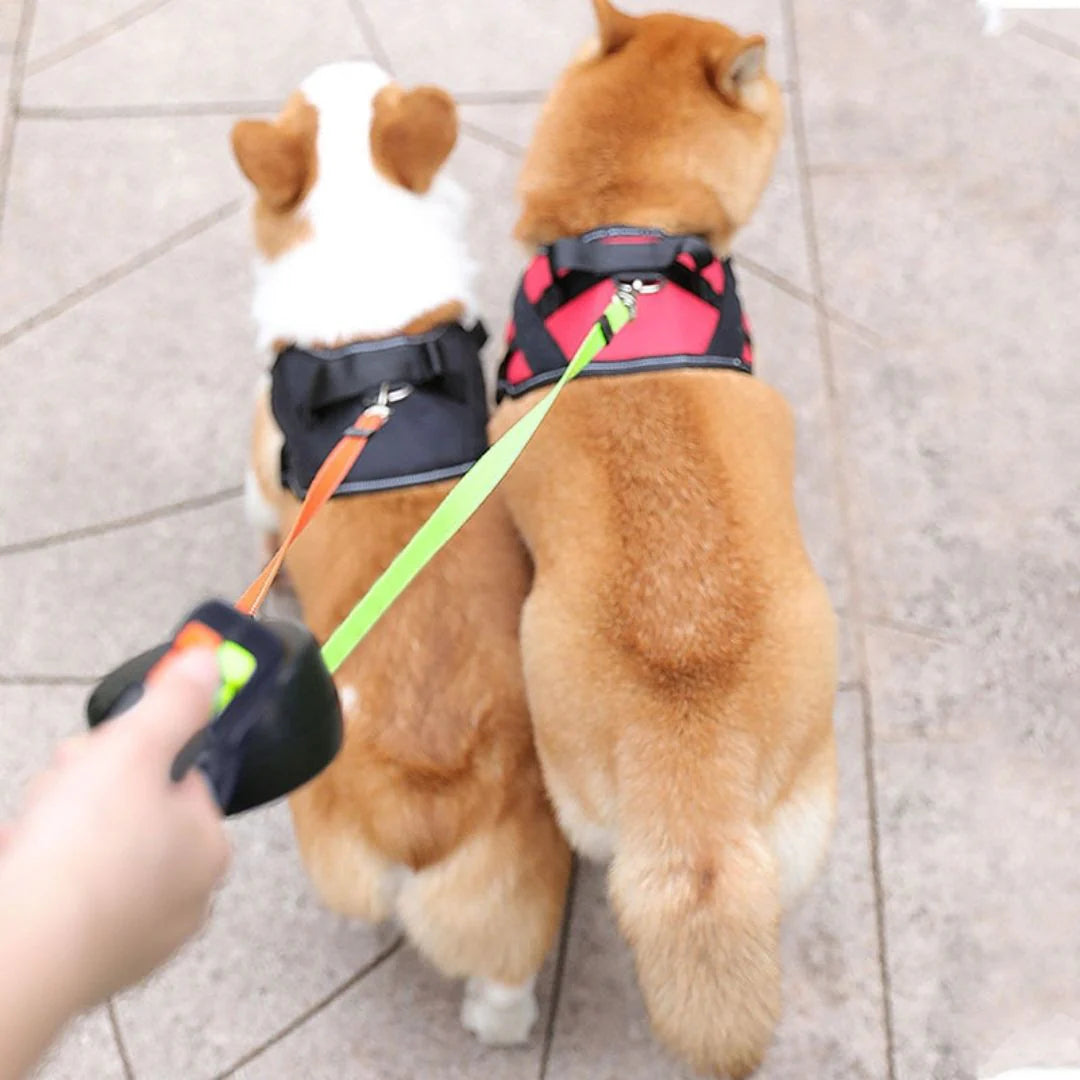 Anti-Tangle Duo Leash™️