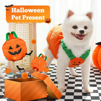 Pumpkin Dog Halloween Costume