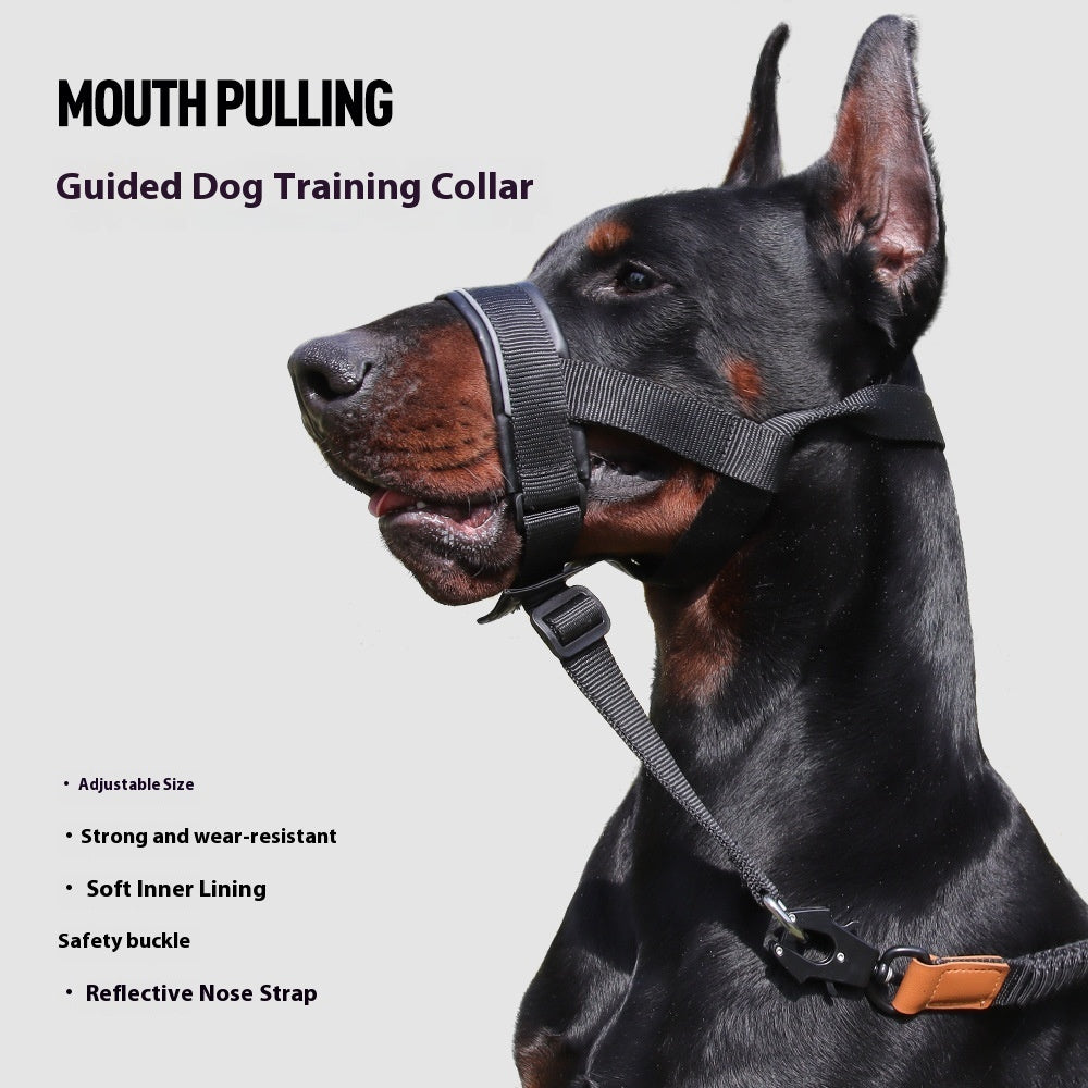 Doggydaart Anti-biteanti-bark Mouth Traction