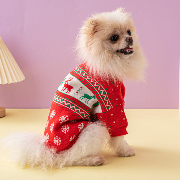 #10 Christmas Tree Dog Sweater