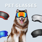 #17 Ski Dog Wind Protection Goggles