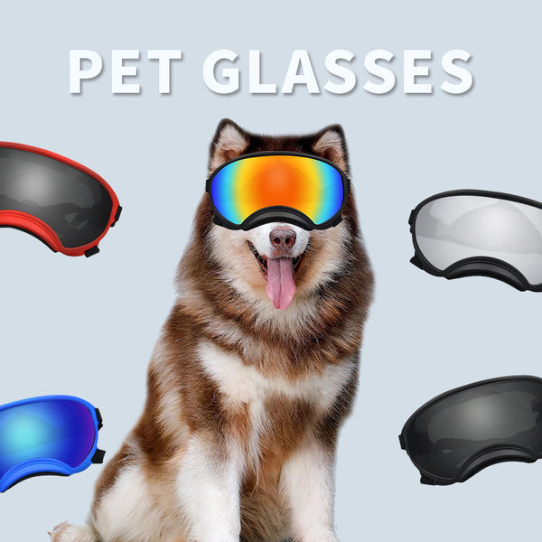 #17 Ski Dog Wind Protection Goggles