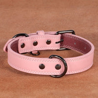 Medium Bell Anti-lost Pet Collar