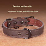 Medium Bell Anti-lost Pet Collar