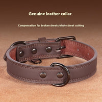 Medium Bell Anti-lost Pet Collar