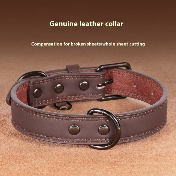 Medium Bell Anti-lost Pet Collar