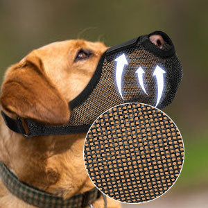 Doggydaart Muzzle Mask