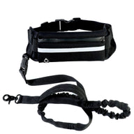 Doggydaart Hand free Dog Leash