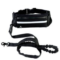 Doggydaart Hand free Dog Leash