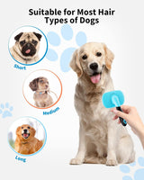Dog Brush For Grooming Tool