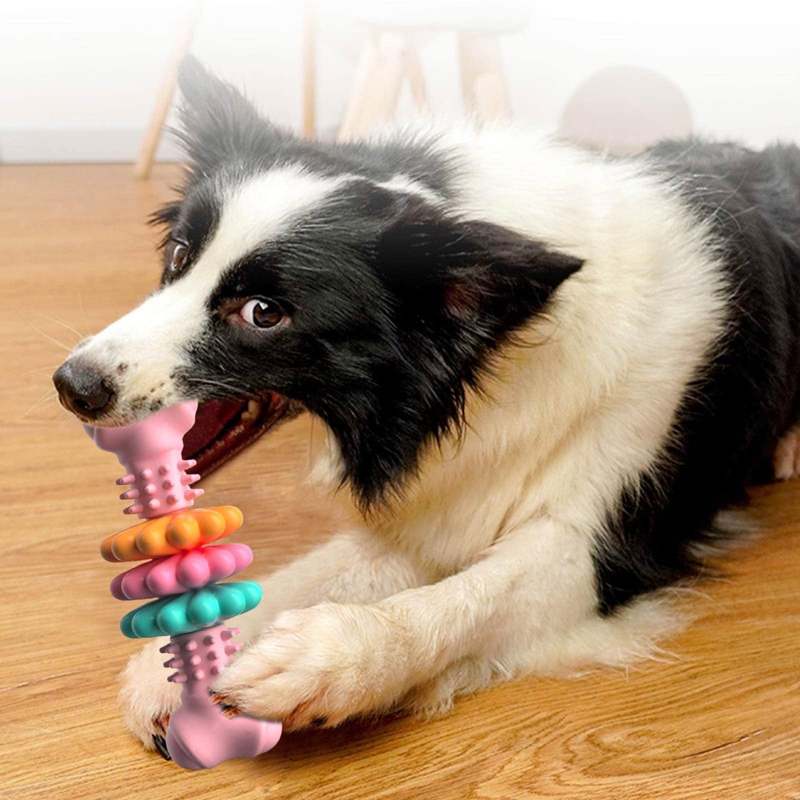 Doggydaart Chew Toys for White Teeth