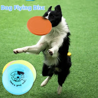 Flying Silicone Disc