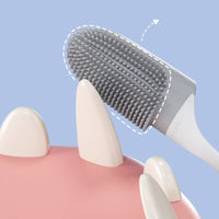 Tooth Cleaning Brush Care