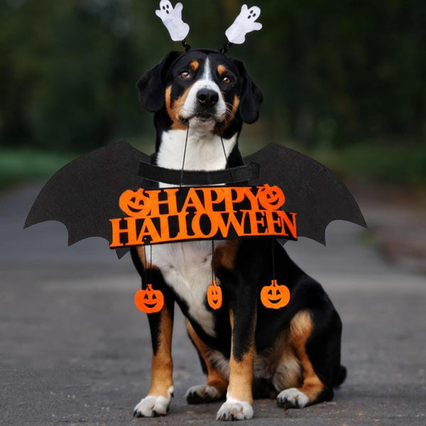 Dog Halloween BAT Costumes